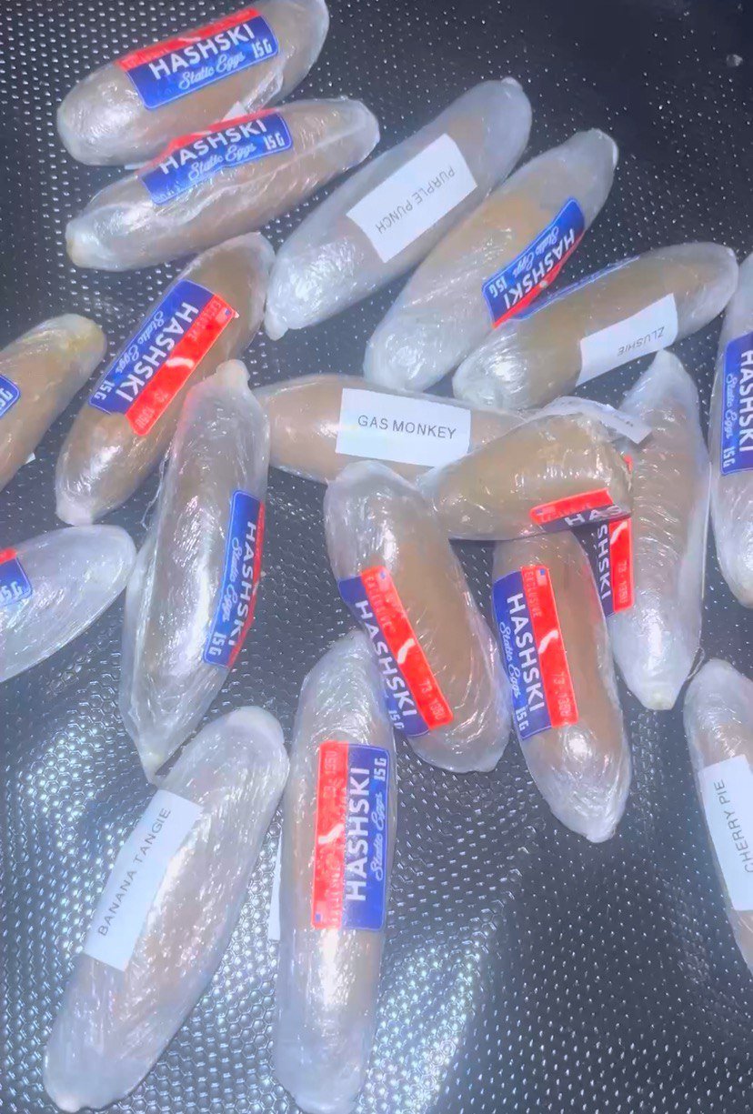 hashski static eggs hash2.jpg hashski static eggs hash2.jpg