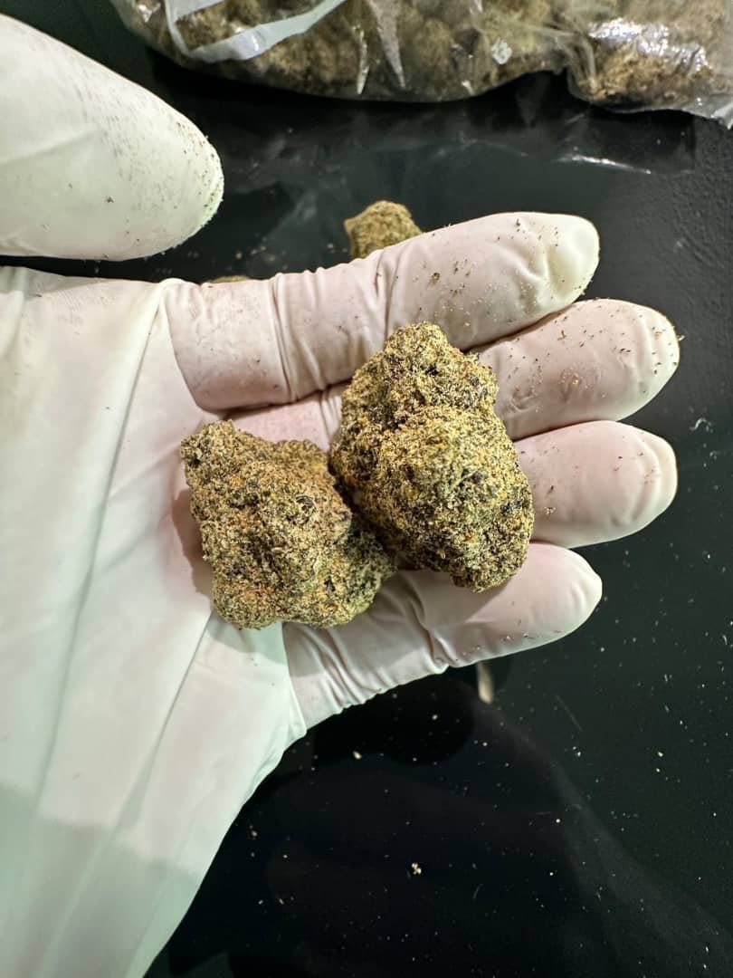 biscotti pie strain biscotti pie strain