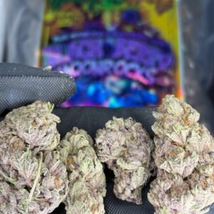 blackberry kush aaa