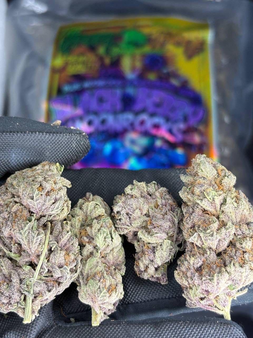 blackberry kush aaa blackberry kush aaa