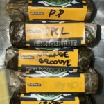 Home PRADO FARM HASH